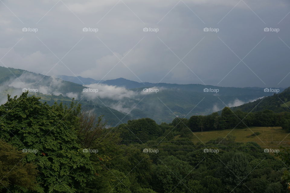 Fog in mountains