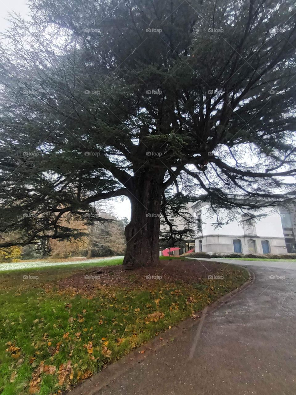 Parc de Mariemont , la louviere