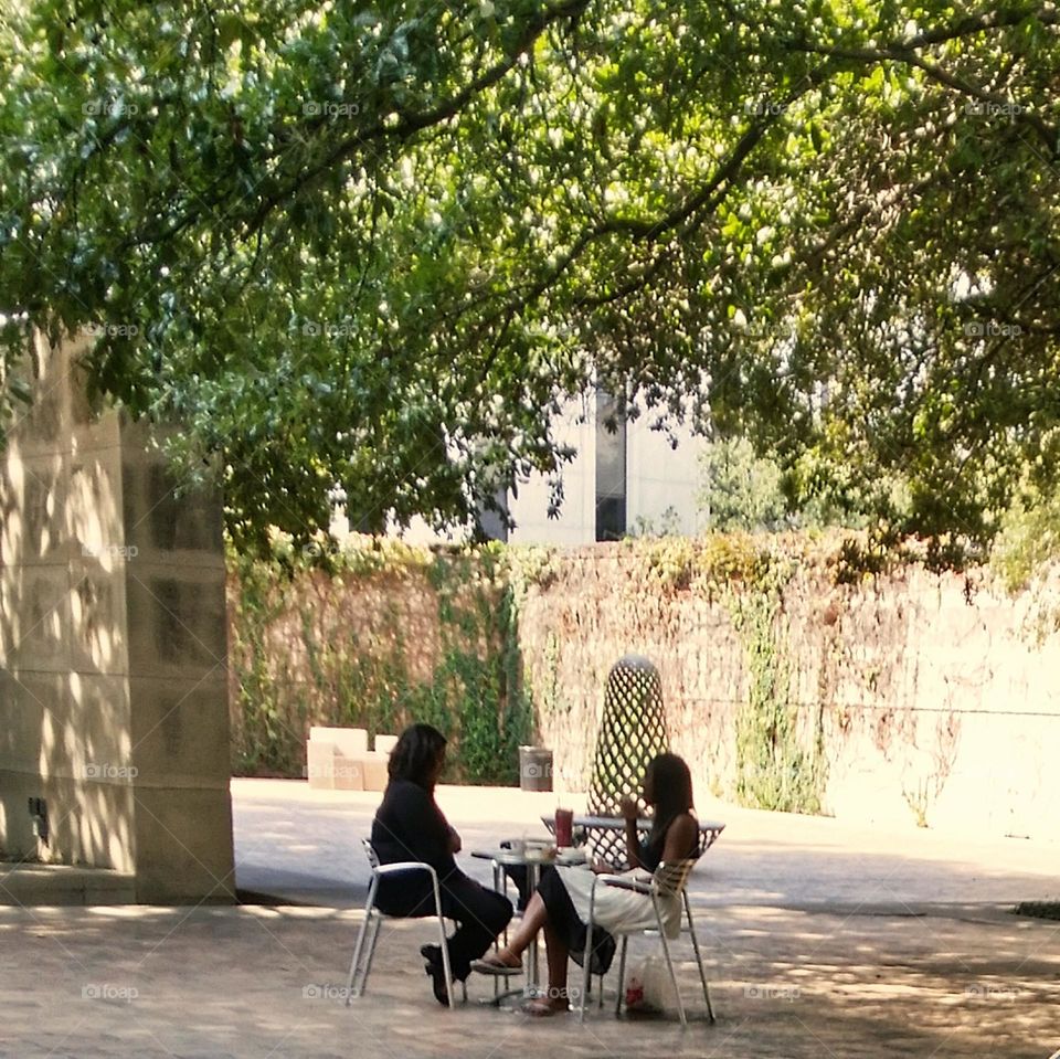 Summer lunch at the Dallas Museum of Art