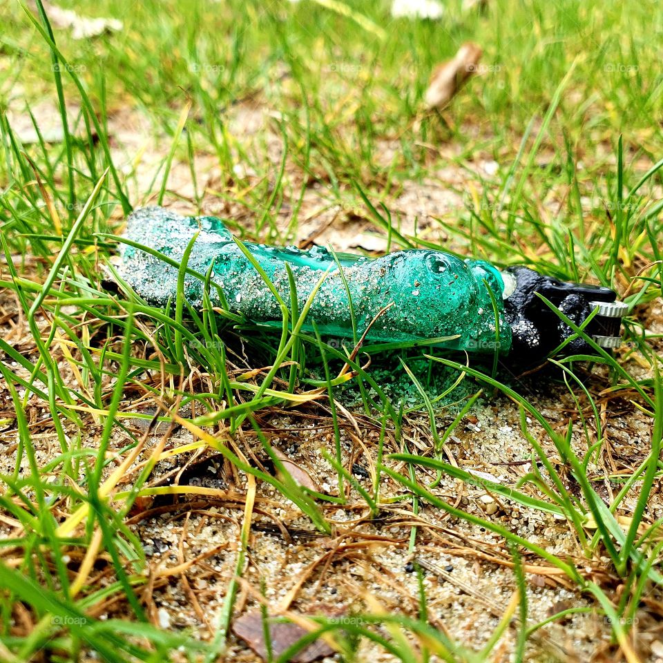 Rendered lighter outside in the grass at a recreation area.