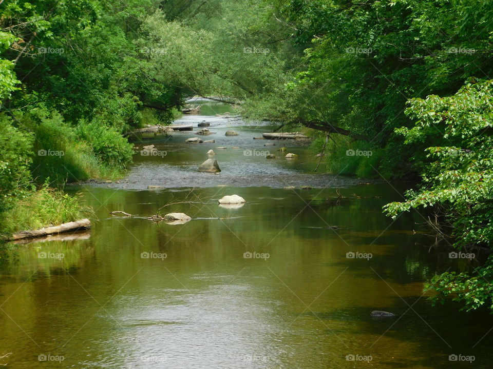 Running Water in North Eastern Pennsylvania