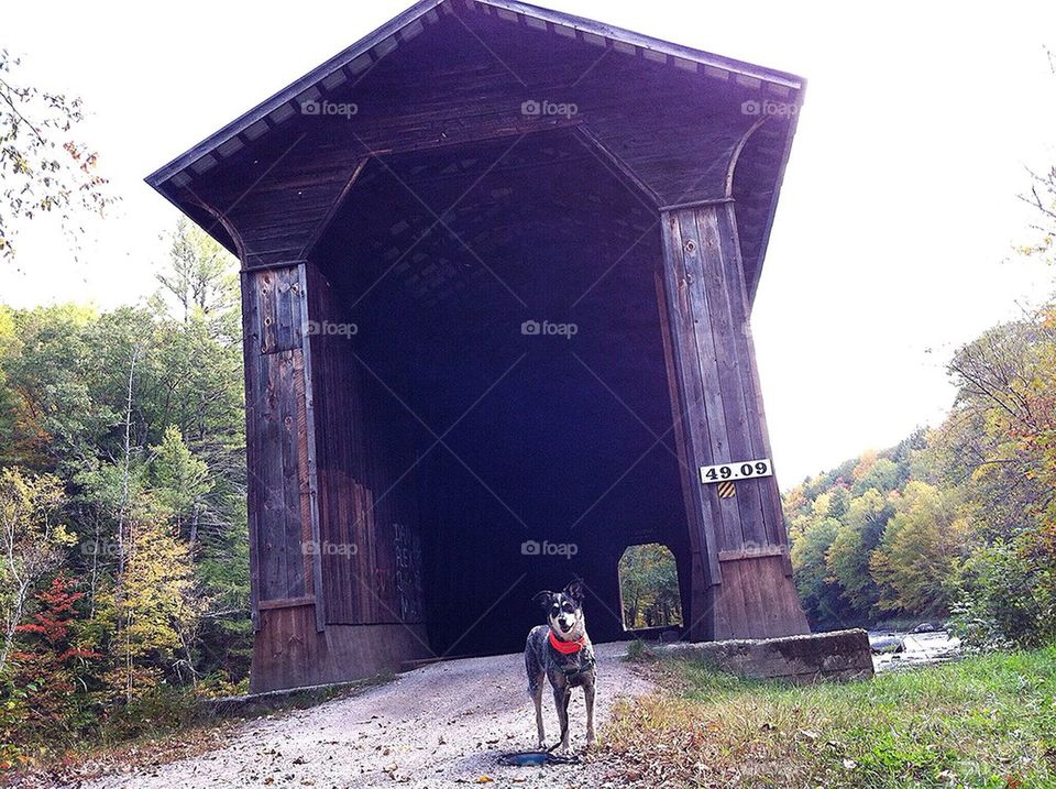 Covered Bridges
