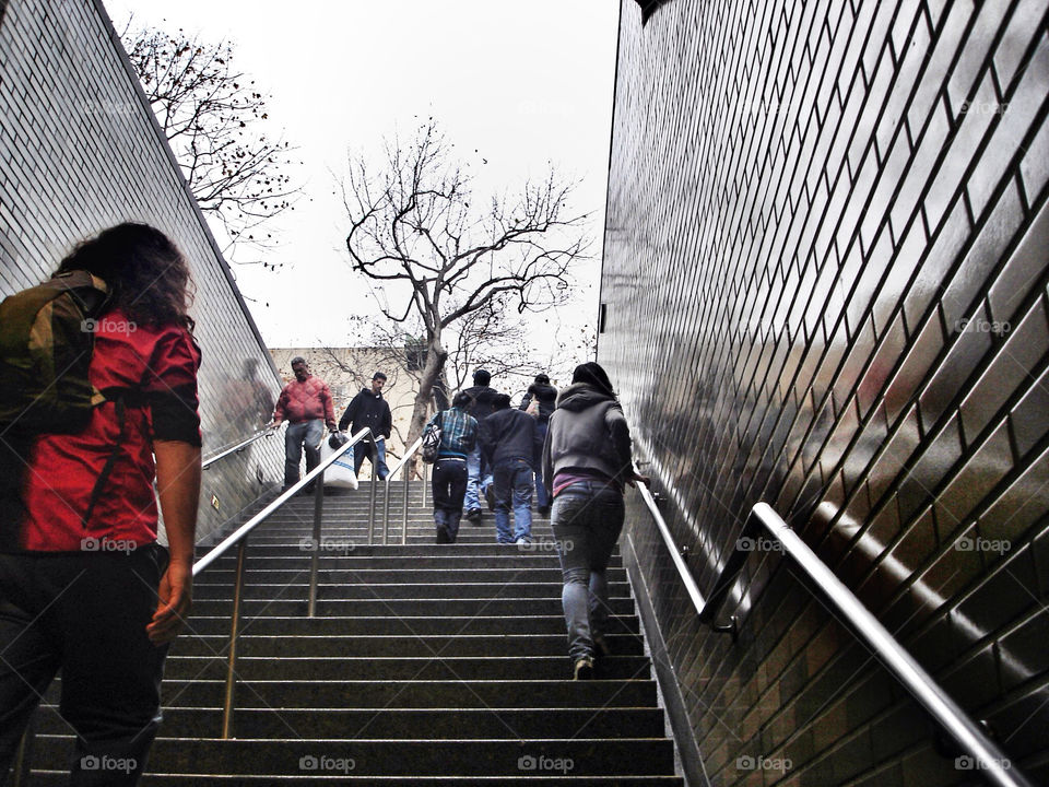 san francisco people trees steps by analia