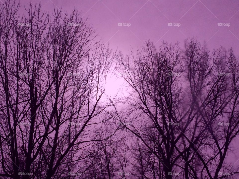 Purple winter sky