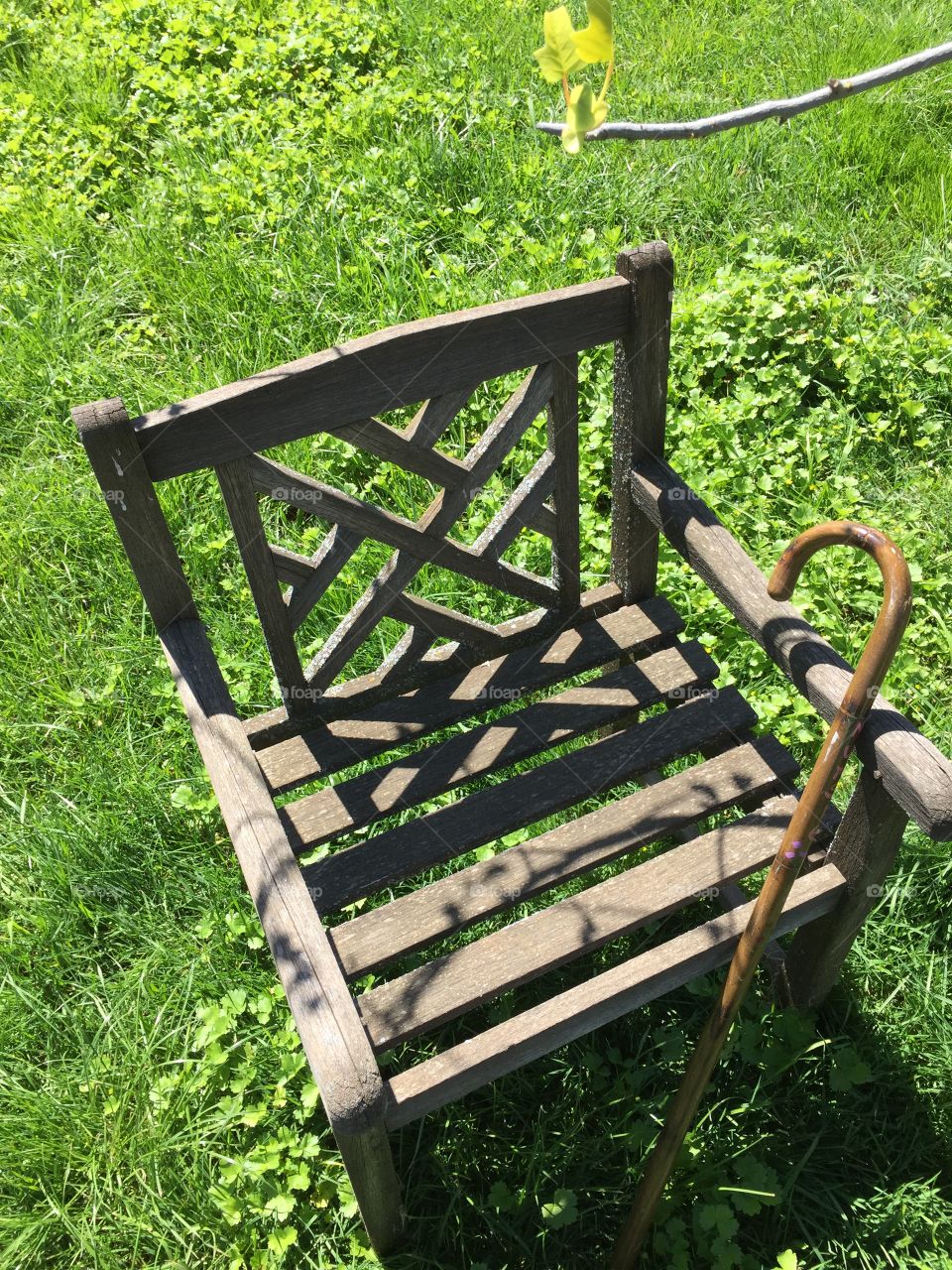 Chair and cane