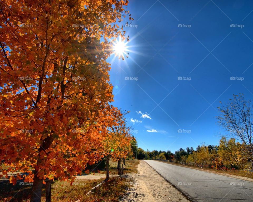 Fall road 