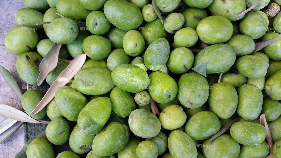 Freshly picked green olives