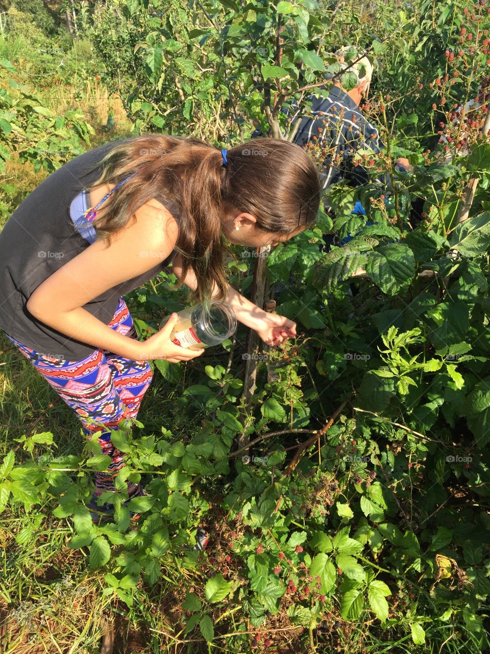 Girl picking blackberries