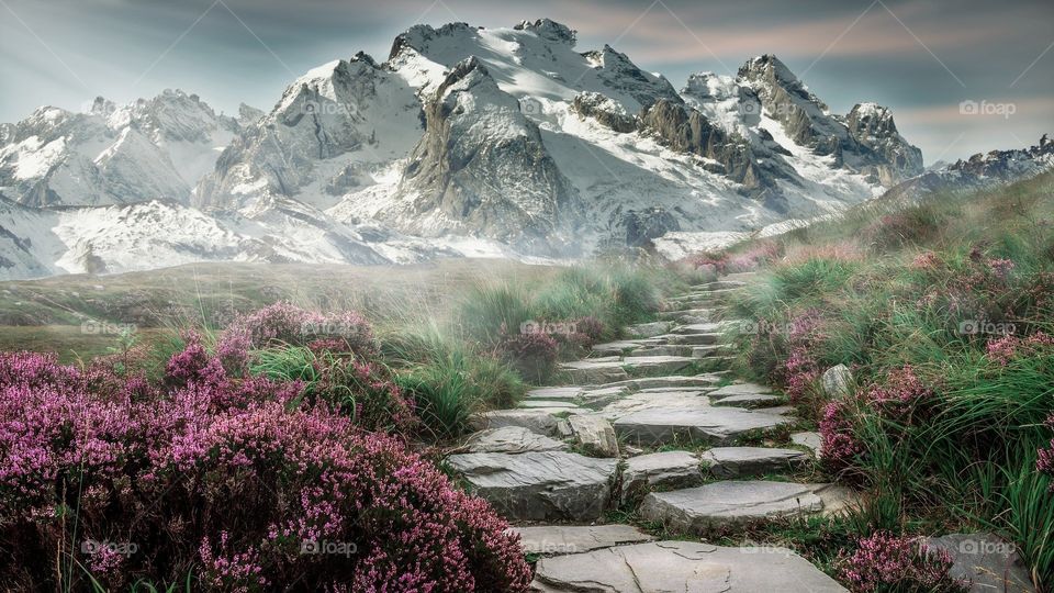 the stone path reminds me of the wizard of oz, expect it's not yellow and no midgets to sing you a song on your way out of town for an adventure. the only singing that you'll hear is the sound of the wind