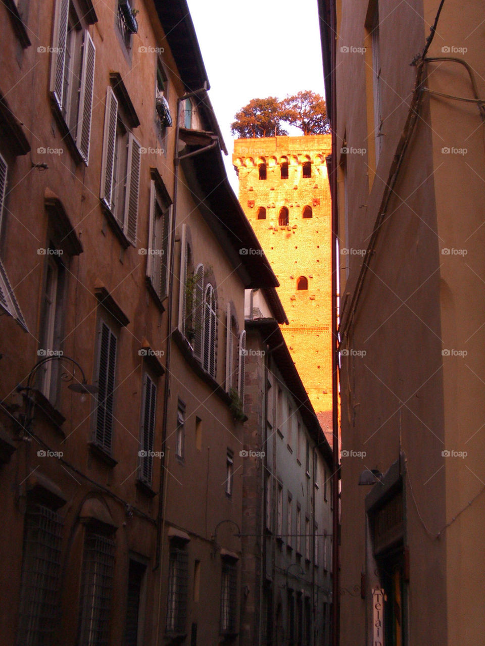 Lucca
