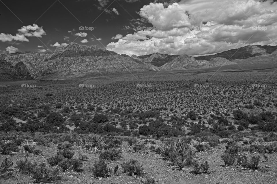 Black and White : Red Rock Canyon , Mojave Desert , Nevada.