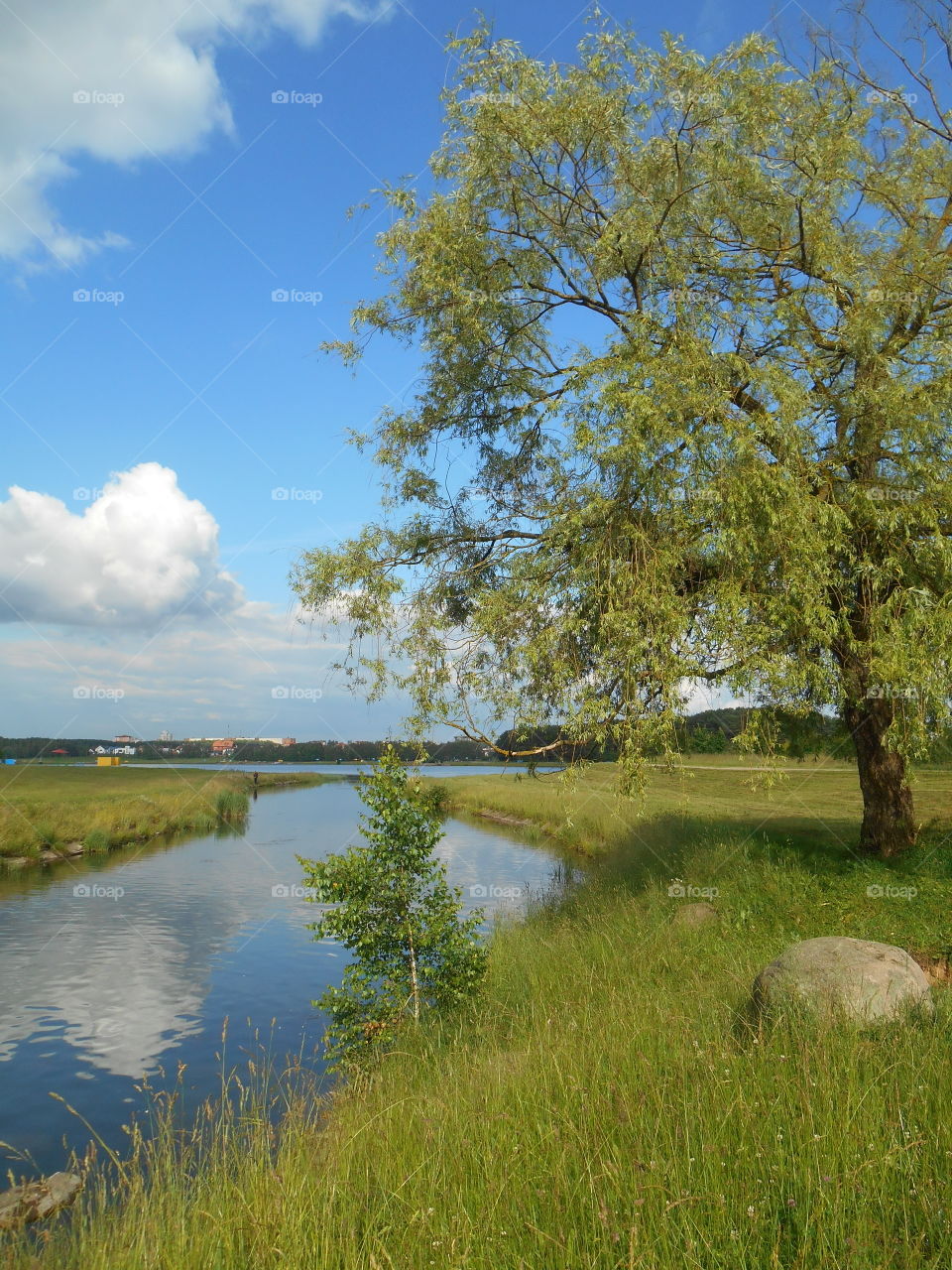 lake summer