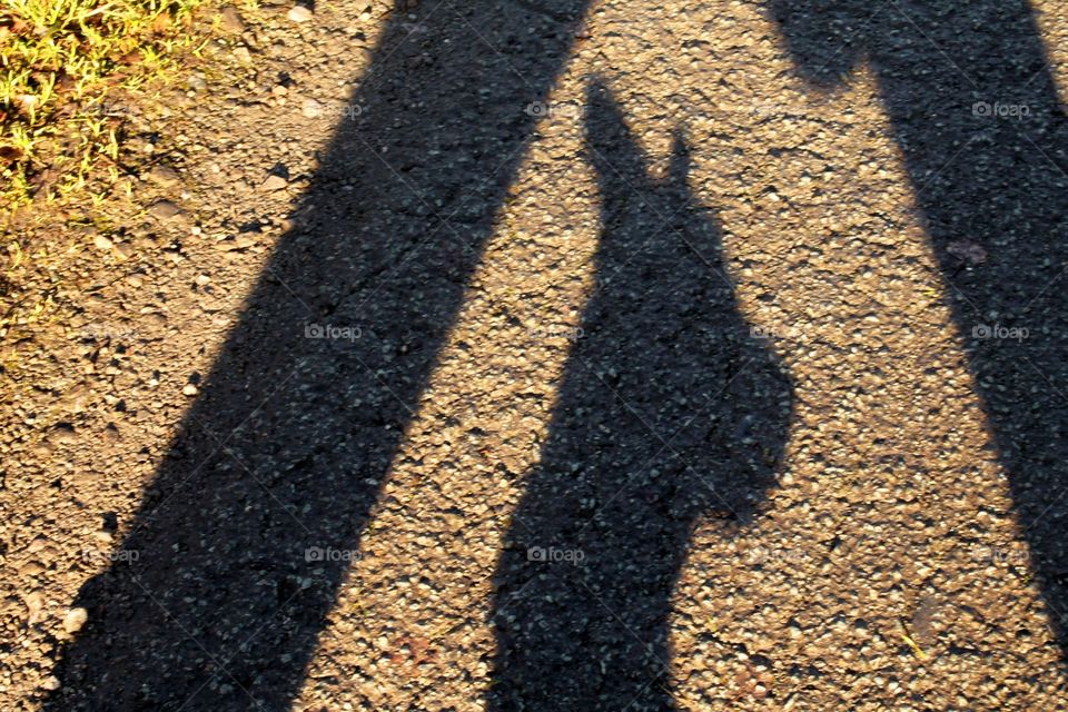 Scoobydoo . My buddy and i on a walk catching shadows