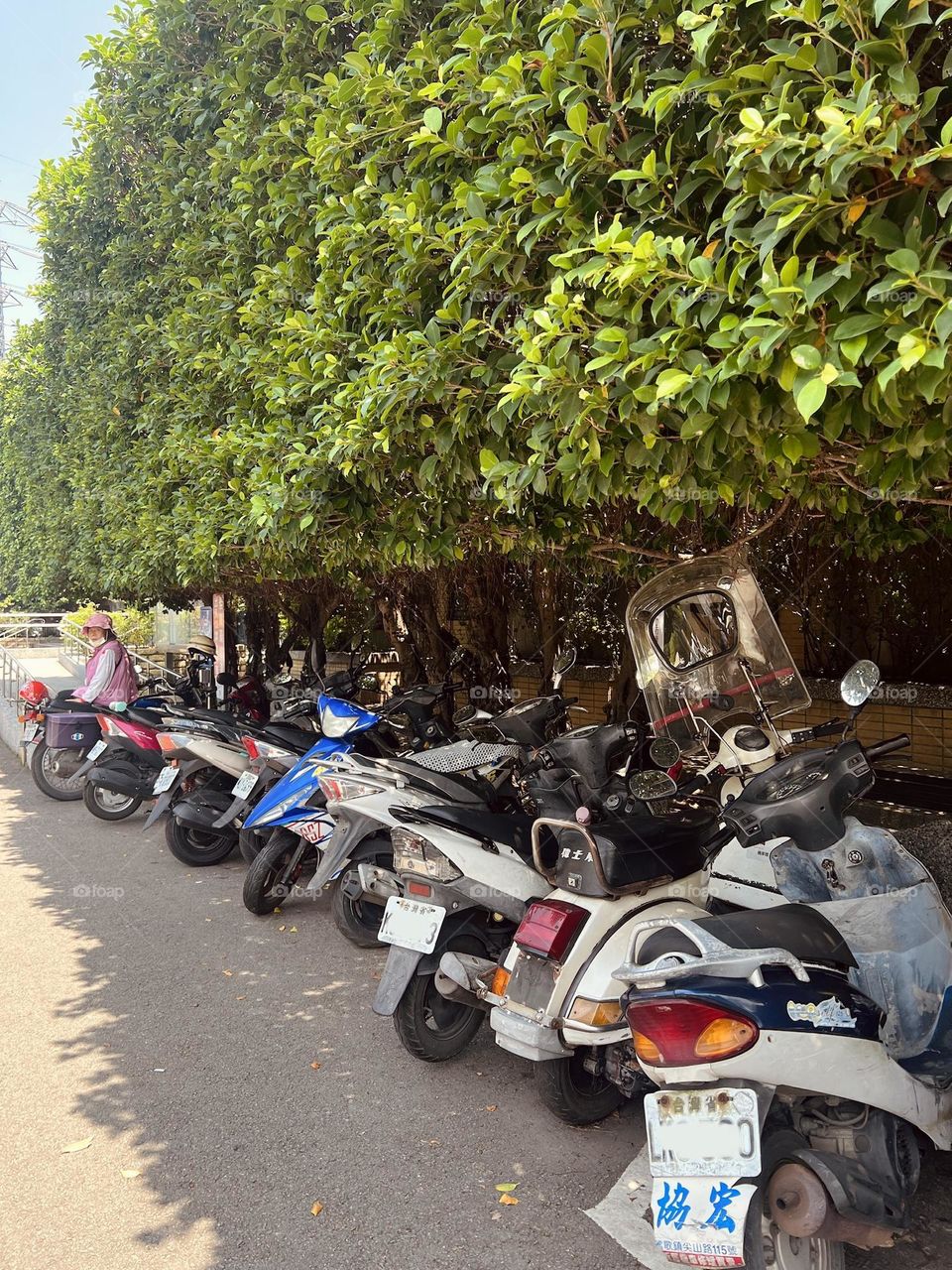 Motors under the plants