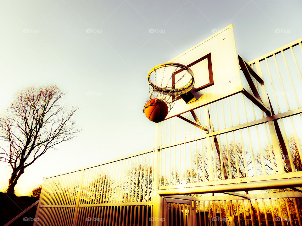 Show us your hobby ! Basketball 