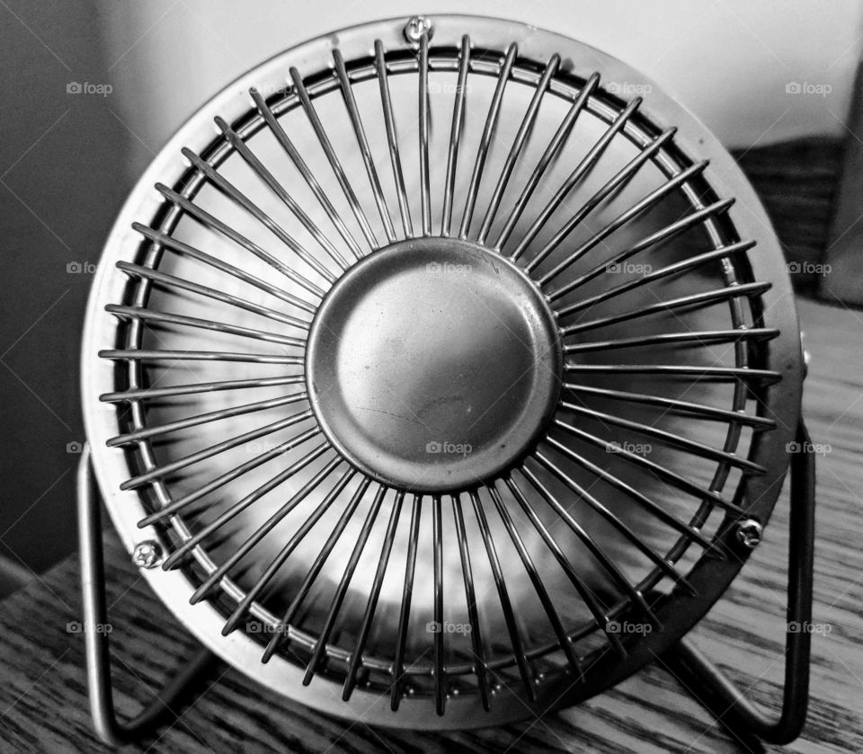 Fan