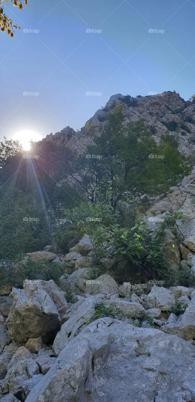 the sun rising