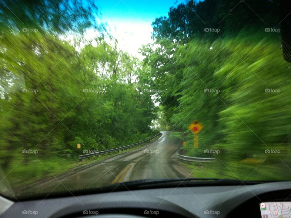 green trees driving road by joycoma