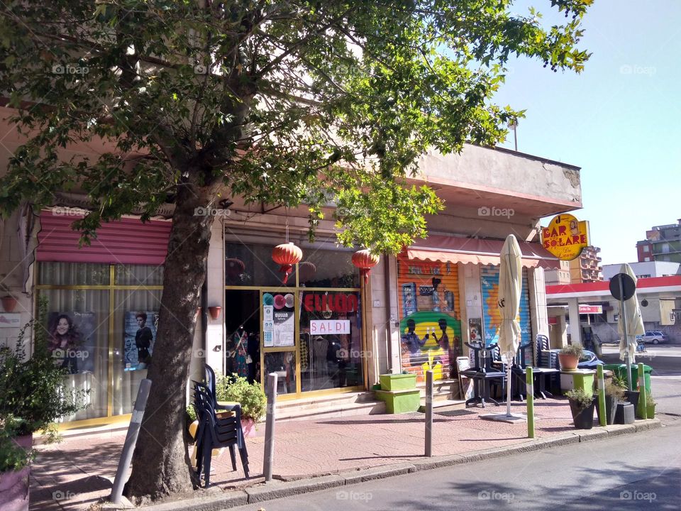 Editors' Choice - Photo of the Week