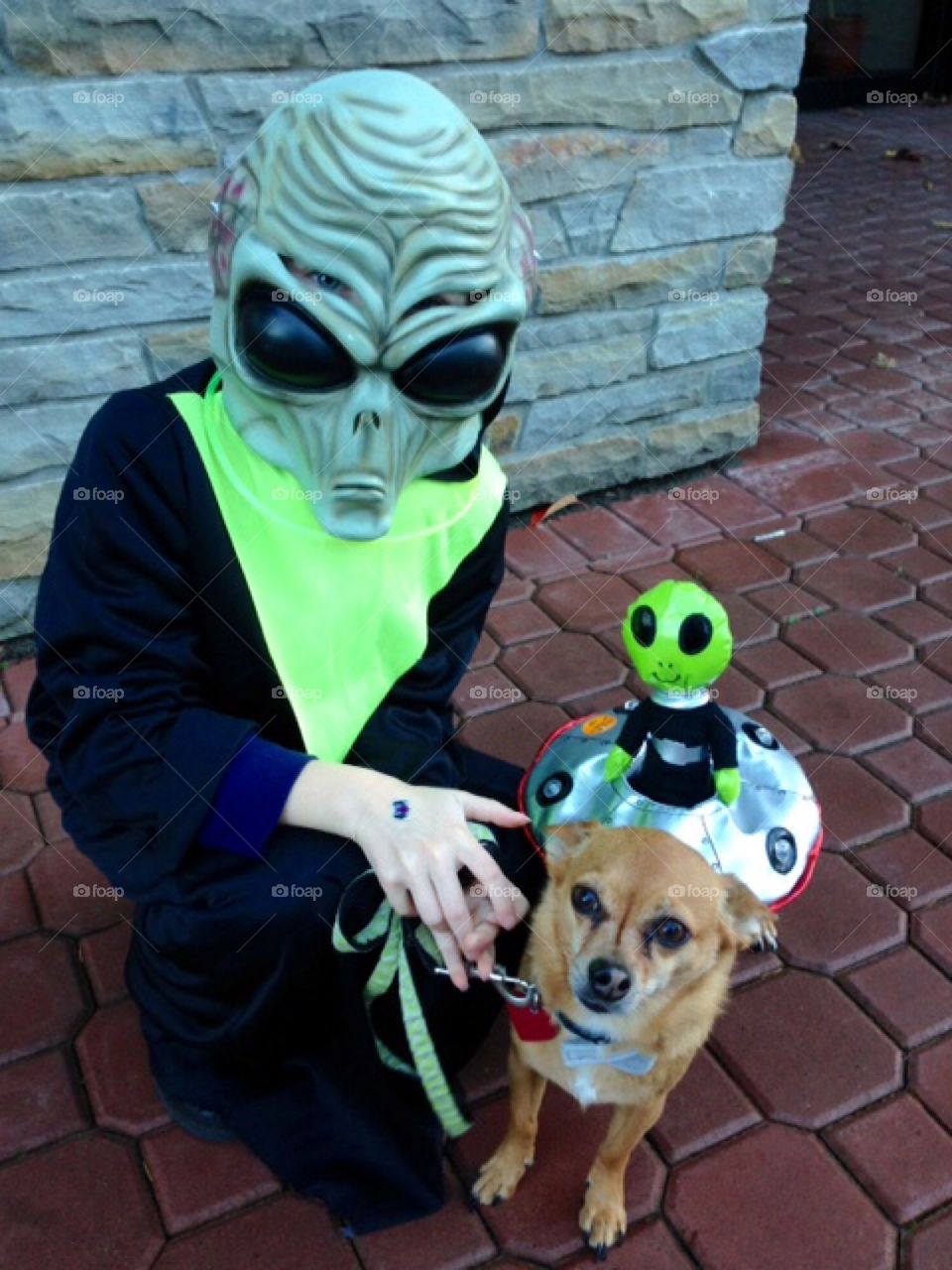Alien Halloween costume - flying saucer dog with alien child