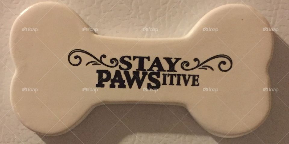 Stay PAWSitive