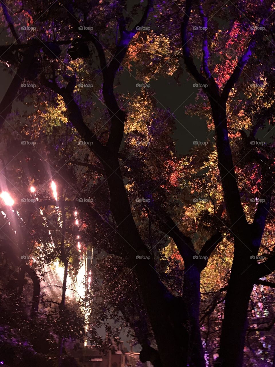 #day126 Everyday WDW Orlando Florida. I have been lost on Disney Properties consecutively since 4/3/19 You can find my encounter https://www.facebook.com/selsa.susanna or on IG selsa_susanna Disney’s Magic Kingdom 8-6-19 Tuesday