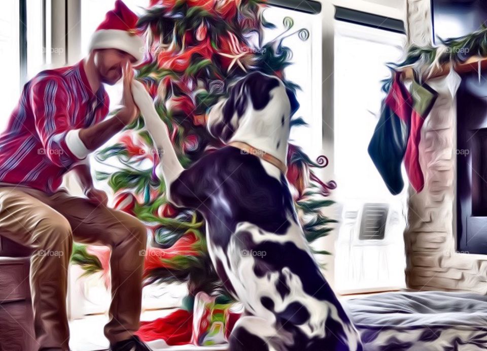 Dog pressing his paw against a man hand