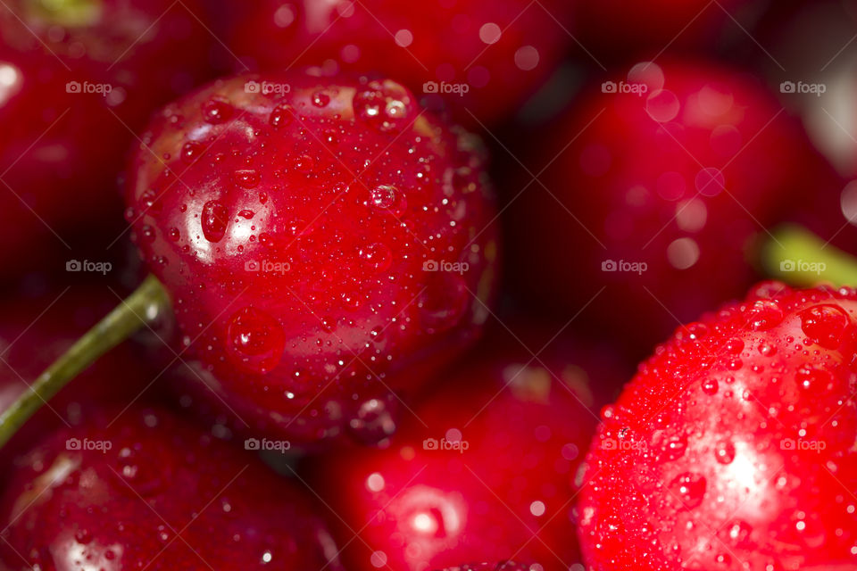 Close up of fresh cherry berries with water drops.Antioxidant, vitamin, organic berry
