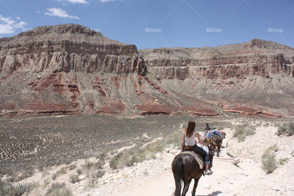 Horseback riding 10 miles into the depths of the Grand Canyon
