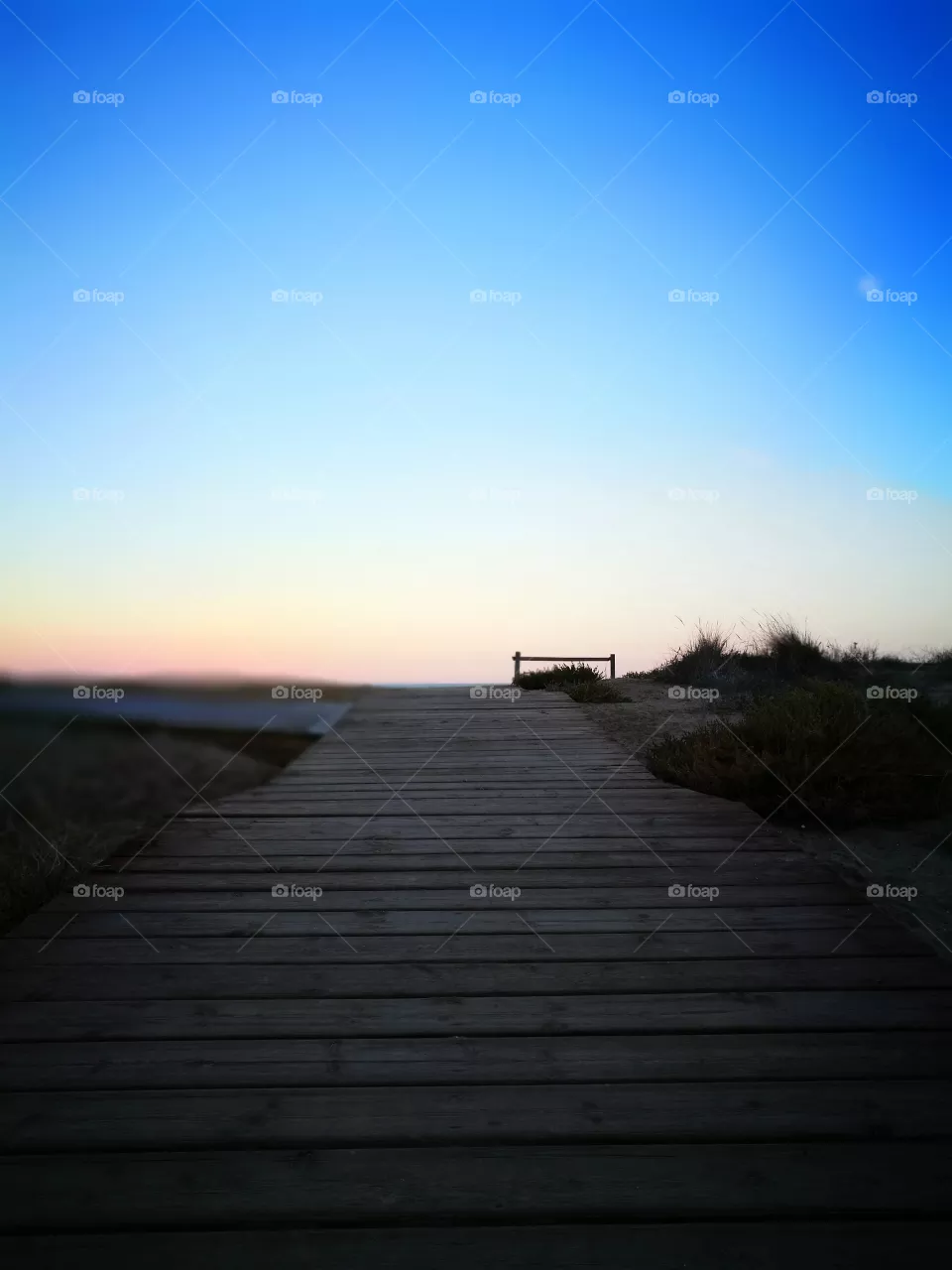 bridge