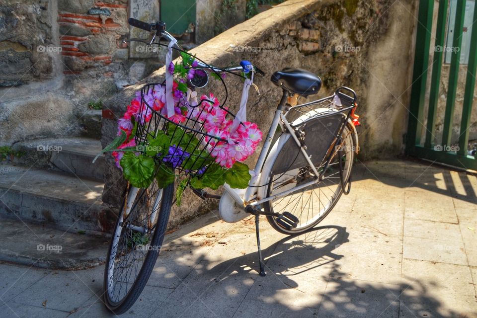 Flowers on the bicycle 