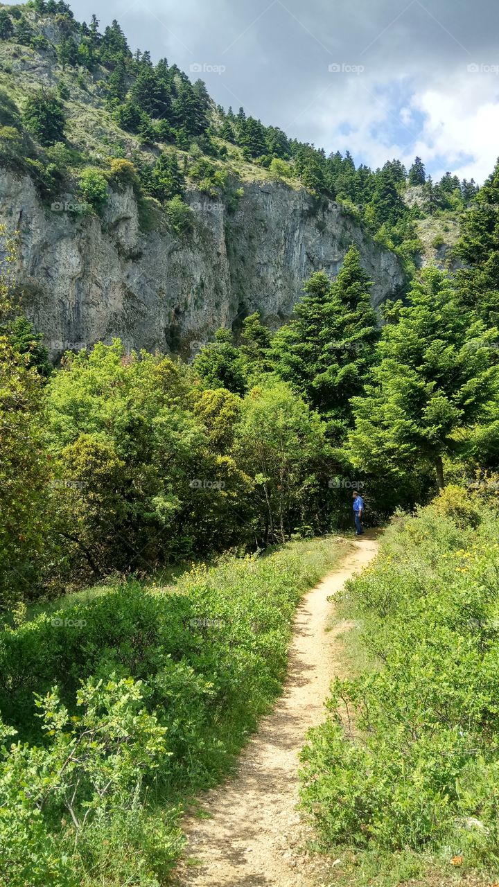 A trail into the mountain forest...Korinthia,Greece