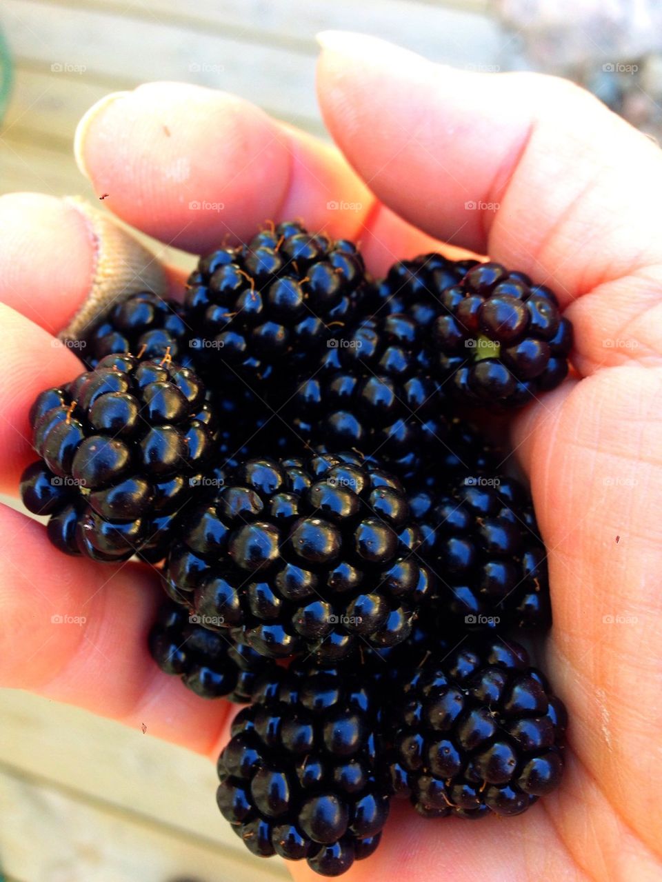 Blackberries