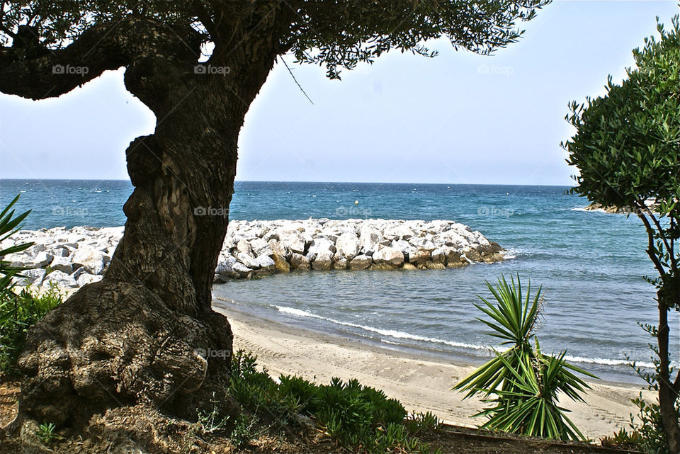 summer trees vacation tourism by lgt41