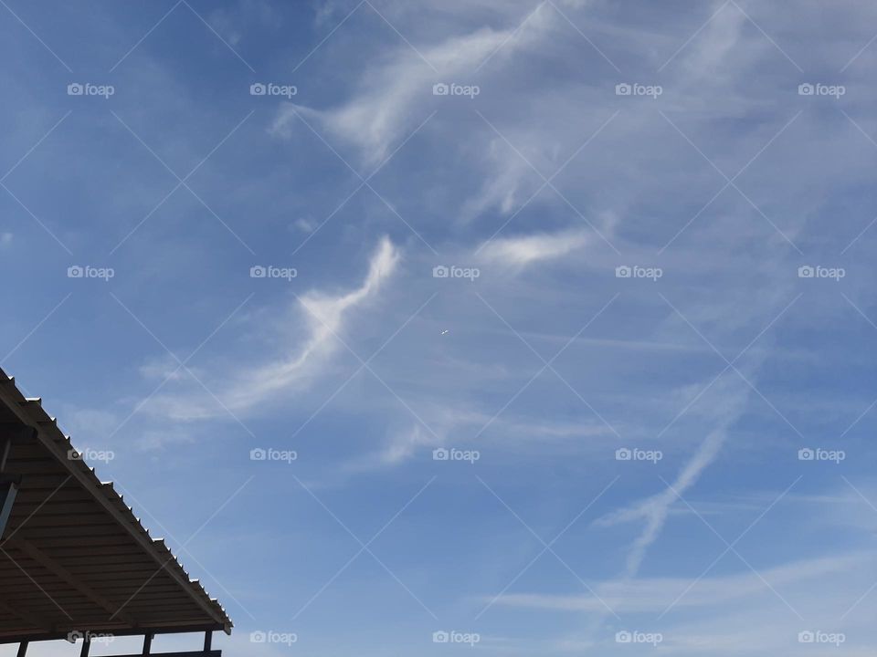 i am poor and need dollars