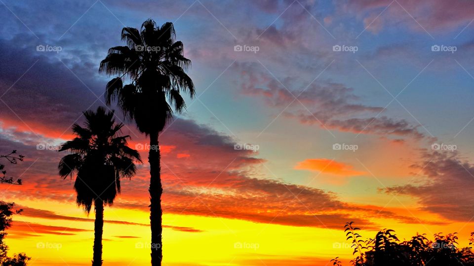 Sunset in California 