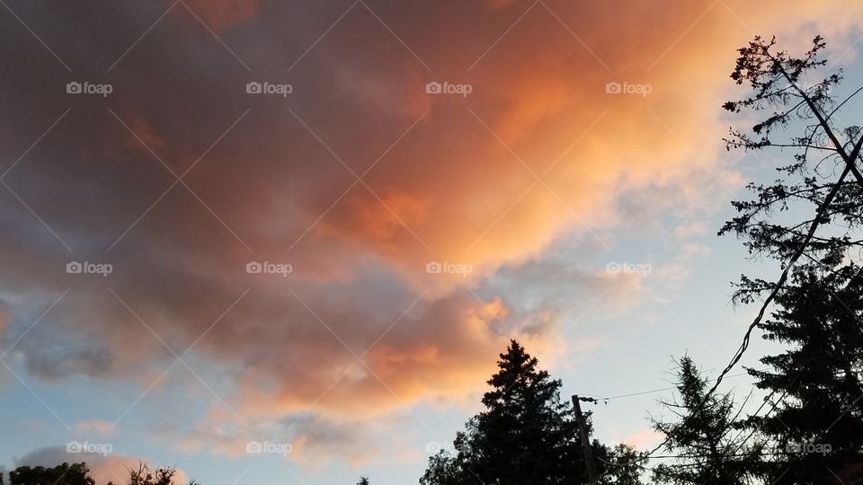 brilliant golden clouds