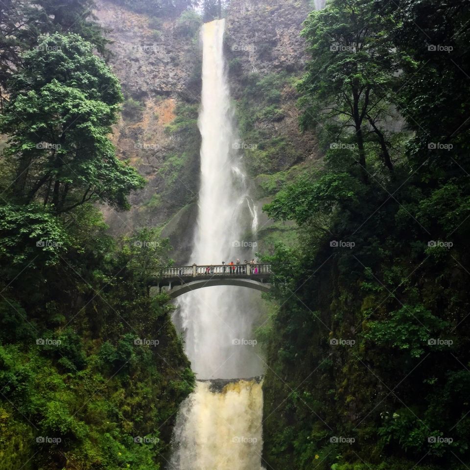 Multnomah Falls
