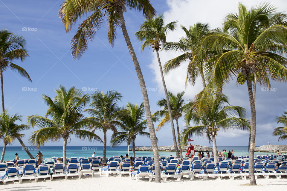 Group of people enjoying at beach