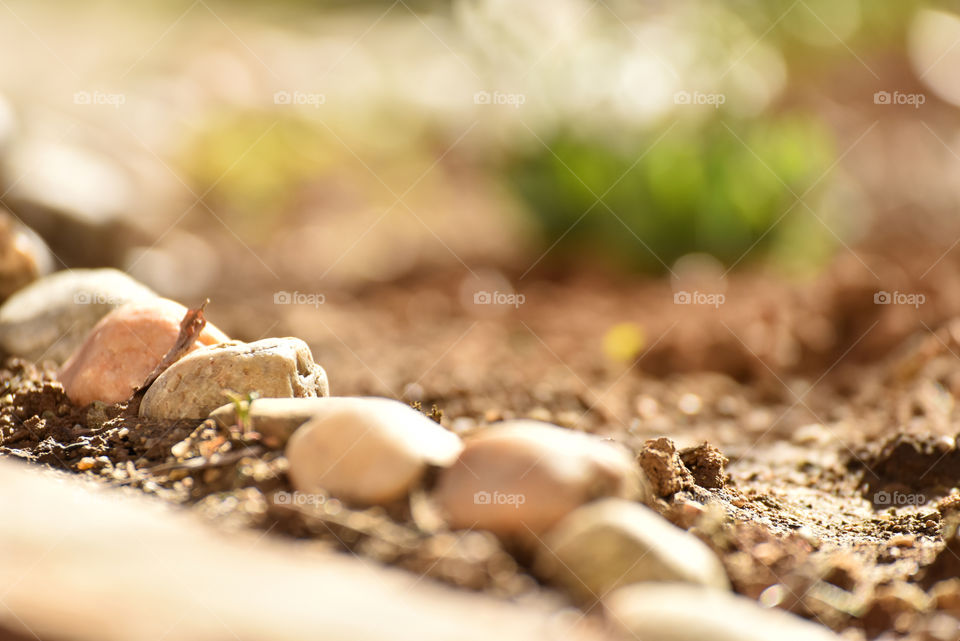 Rocks and blurd background