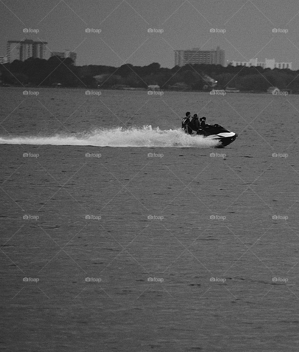 Skimming across the bay 