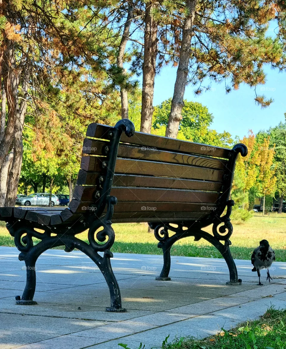 park