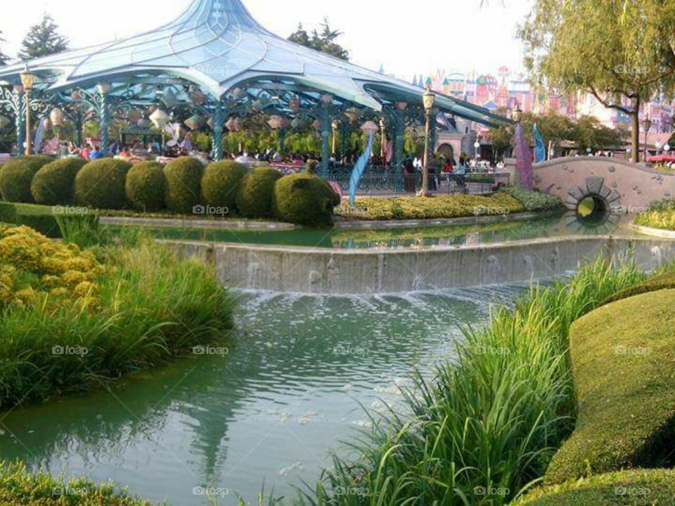 When a child's dream come true