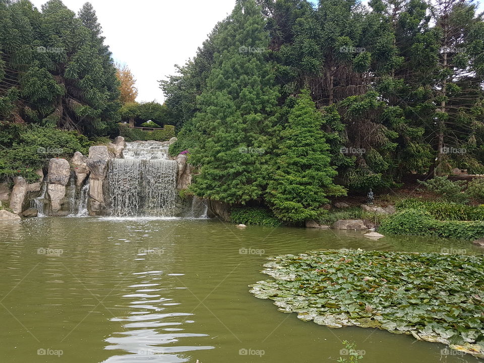 Beautiful waterfall and garden display