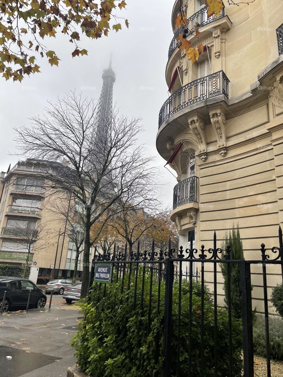 Eiffel tower in the winter day