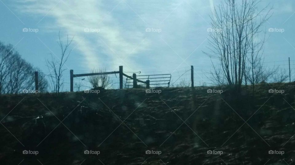Landscape, Tree, Fog, Sky, Weather