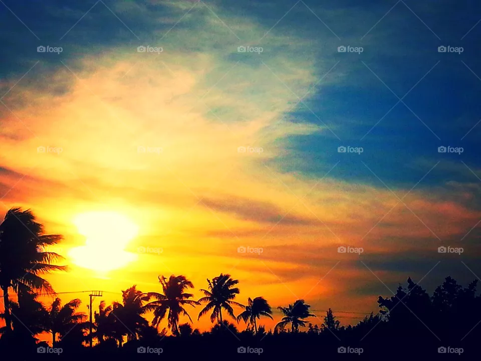 Sunset