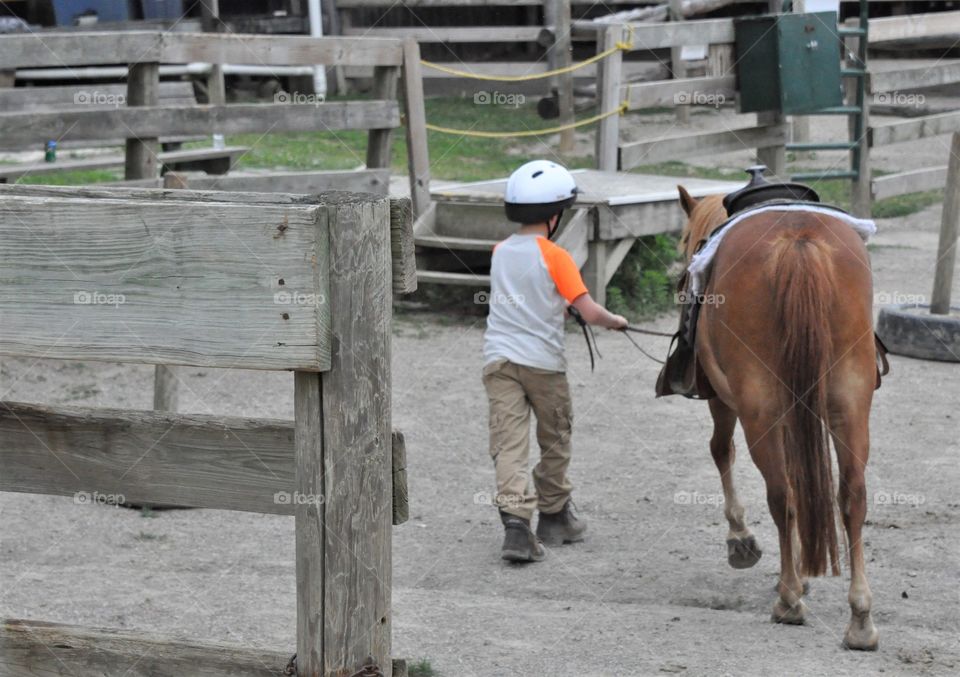 A little boy with his horse