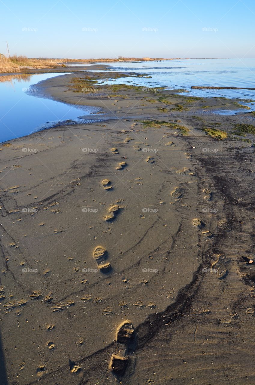 Beach, Water, No Person, Seashore, Sand