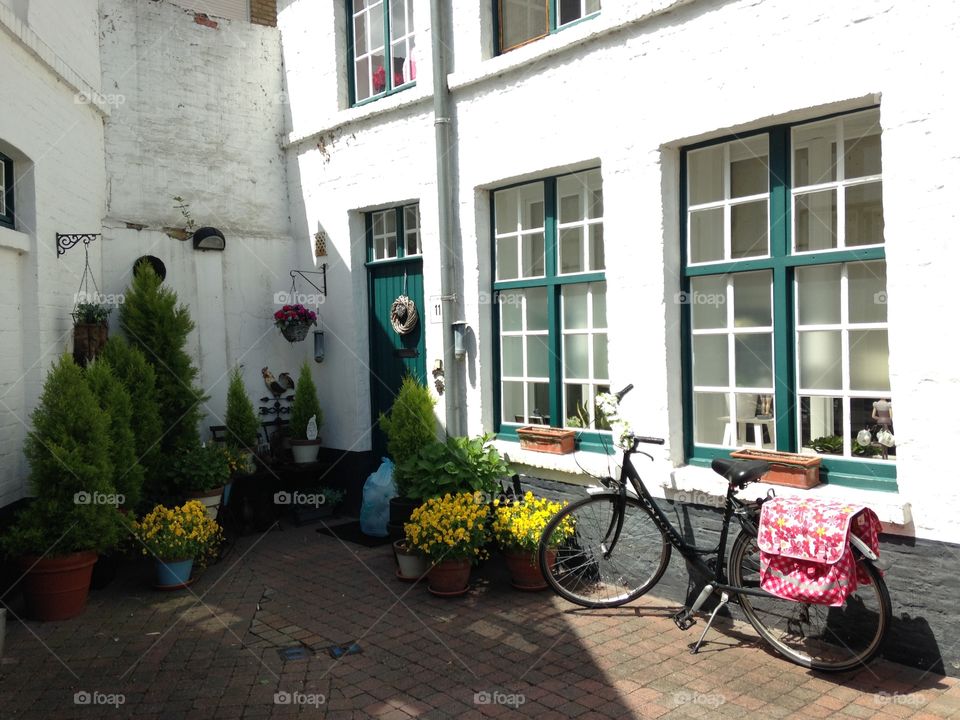 House, Architecture, Street, Family, Window